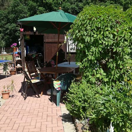 Ferienwohnung Am Wald Tharandt Exteriér fotografie